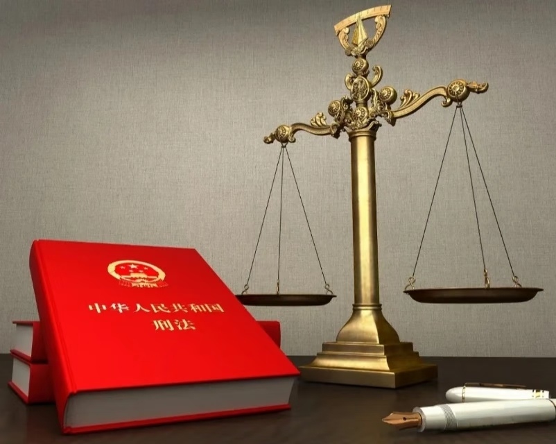 中山刑事律师陈胡月：以专业与担当，守护法治之光